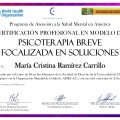 Ampliar imagen: certificate 4