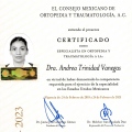 Ampliar imagen: certificate 3