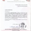 Ampliar imagen: certificate 7