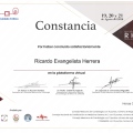 Ampliar imagen: certificate 3