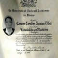 Ampliar imagen: certificate 2