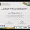 Ampliar imagen: certificate 32