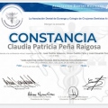 Ampliar imagen: certificate 13