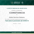 Ampliar imagen: certificate 8