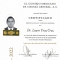 Ampliar imagen: certificate 1