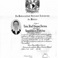 Ampliar imagen: certificate 4