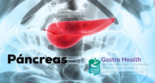 Fabiola Maely González Ortíz-8