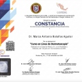 Ampliar imagen: certificate 2