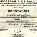 Ampliar imagen: certificate 6