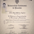 Ampliar imagen: certificate 10