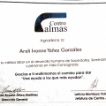 Ampliar imagen: certificate 9