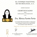 Ampliar imagen: certificate 1