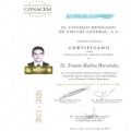 Ampliar imagen: certificate 20