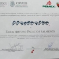 Ampliar imagen: certificate 6