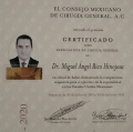 Ampliar imagen: certificate 1