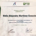 Ampliar imagen: certificate 7