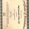 Ampliar imagen: certificate 5