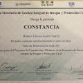 Ampliar imagen: certificate 2