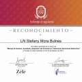 Ampliar imagen: certificate 3