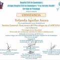 Ampliar imagen: certificate 20