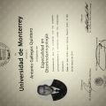 Ampliar imagen: certificate 2