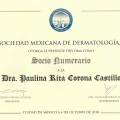 Ampliar imagen: certificate 17
