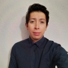 Mtro. Alfredo Mendoza Chimal