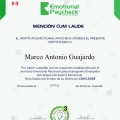 Ampliar imagen: certificate 12