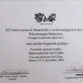 Ampliar imagen: certificate 8