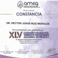 Ampliar imagen: certificate 28