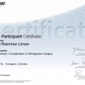 Ampliar imagen: certificate 9