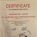 Ampliar imagen: certificate 7