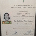 Ampliar imagen: certificate 2
