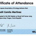 Ampliar imagen: certificate 3