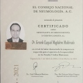 Ampliar imagen: certificate 13