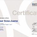 Ampliar imagen: certificate 1
