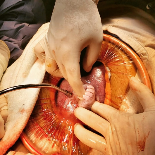 Jose Luis Jasso Perez-4