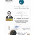 Ampliar imagen: certificate 2