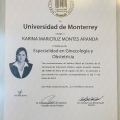 Ampliar imagen: certificate 2