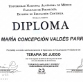 Ampliar imagen: certificate 1