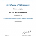 Ampliar imagen: certificate 7