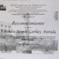 Ampliar imagen: certificate 5