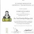 Ampliar imagen: certificate 1