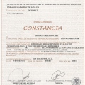 Ampliar imagen: certificate 9
