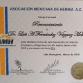 Ampliar imagen: certificate 6