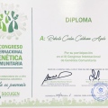 Ampliar imagen: certificate 6