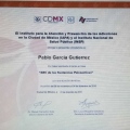 Ampliar imagen: certificate 19
