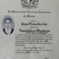 Ampliar imagen: certificate 2