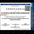 Ampliar imagen: certificate 14