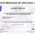 Ampliar imagen: certificate 122